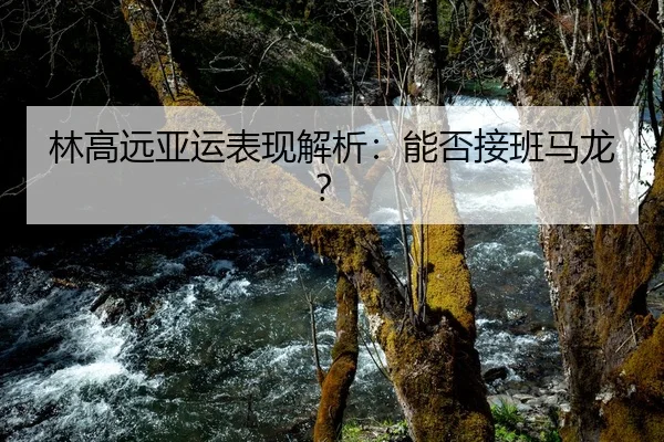 林高远亚运表现解析：能否接班马龙？